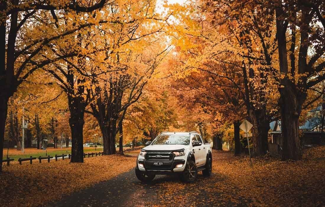 A White Truck is Parked on a Leafy Road — MoneySmith Group In Kingscliff, NSW