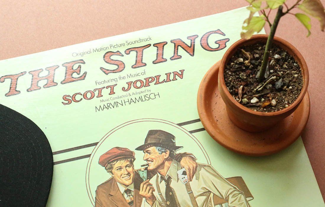 A Poster Next to a Potted Plant — MoneySmith Group In Kingscliff, NSW