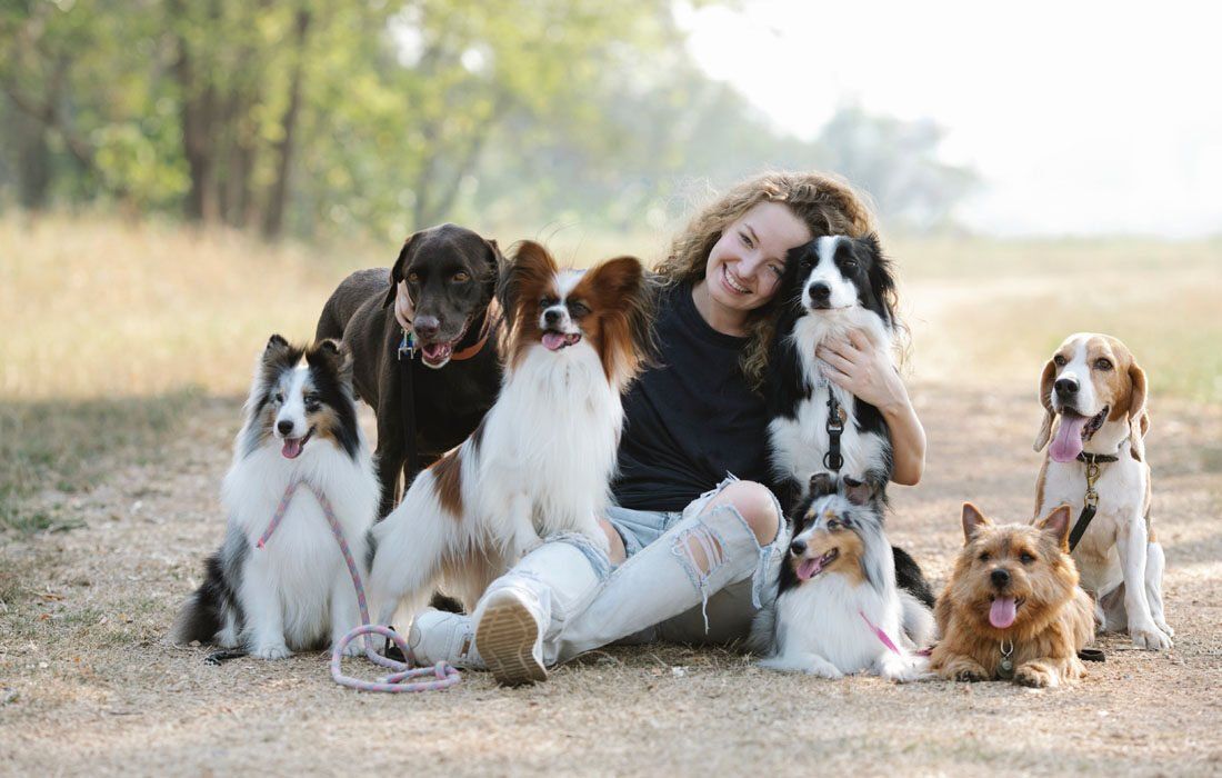 A Woman on the Ground With a Group of Dogs — MoneySmith Group In Kingscliff, NSW