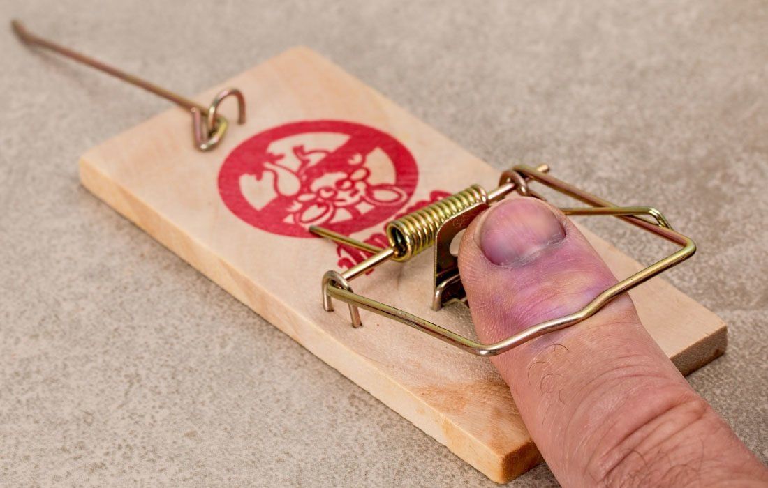 A Person's Finger is Stuck in a Mouse Trap — MoneySmith Group In Kingscliff, NSW