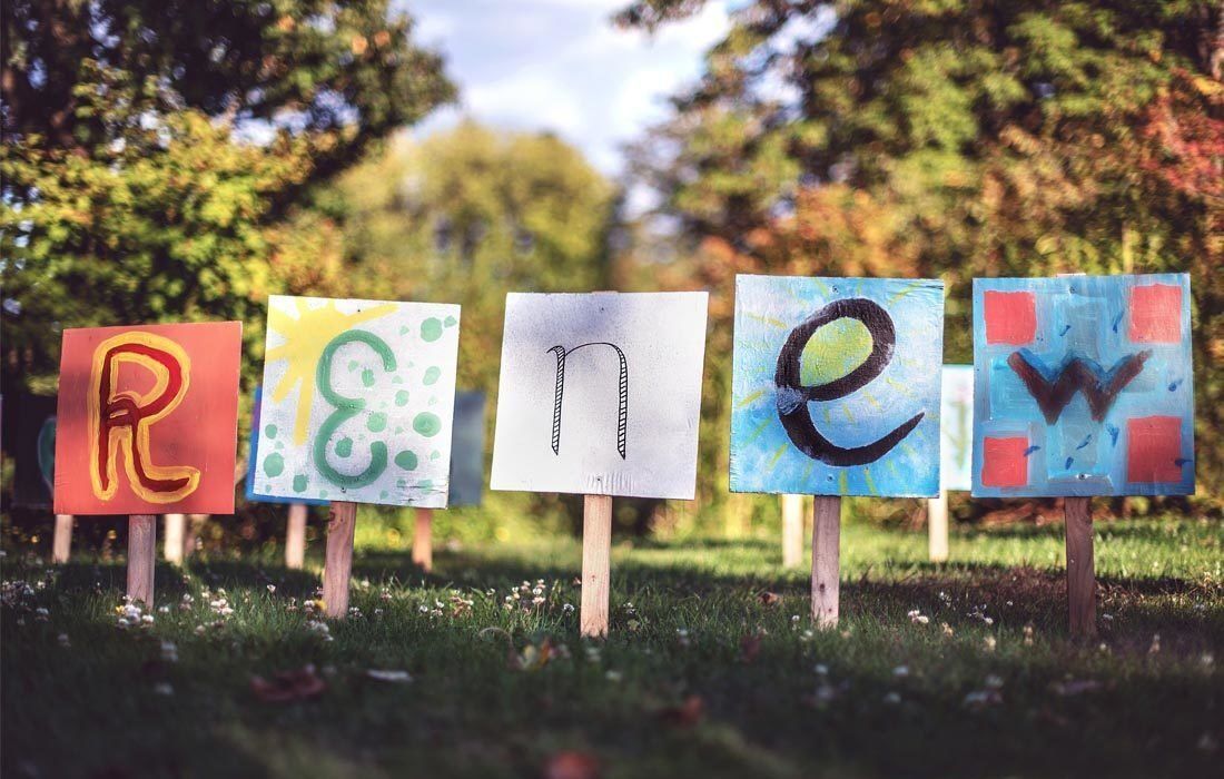 The Word Renew is Written on a Bunch of Signs in a Park — MoneySmith Group In Kingscliff, NSW