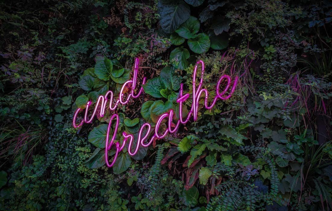 A Neon Sign is Surrounded by Plants — MoneySmith Group In Kingscliff, NSW