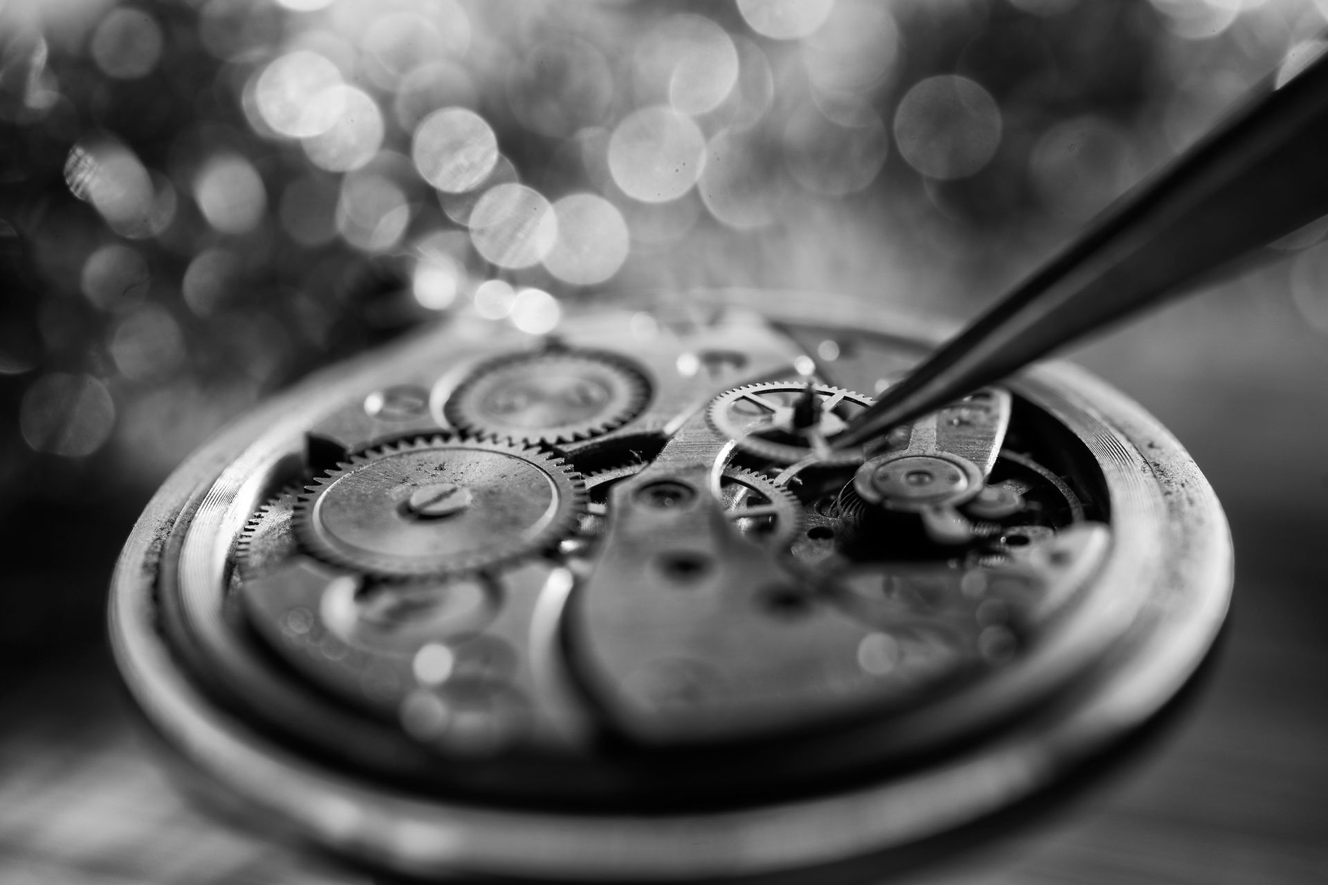 Primo piano degli ingranaggi dell'orologio regolati con una pinzetta; sfondo sfocato bokeh.