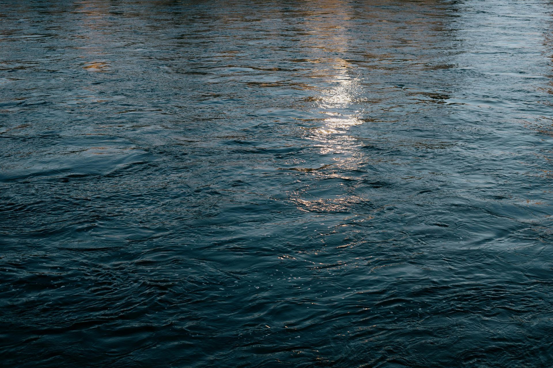 Sewage Cleanup Services in Waikoloa, HI