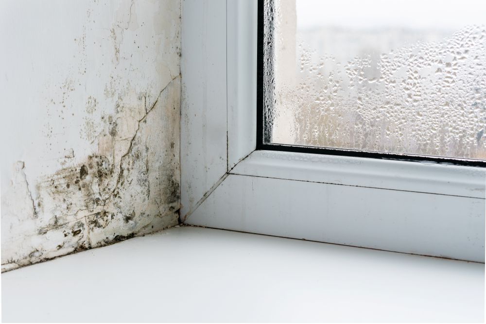 Window corner with mold on wall