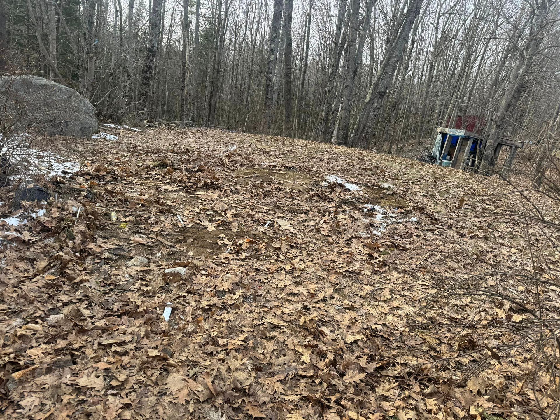 A pile of leaves on top of a hill in the woods.