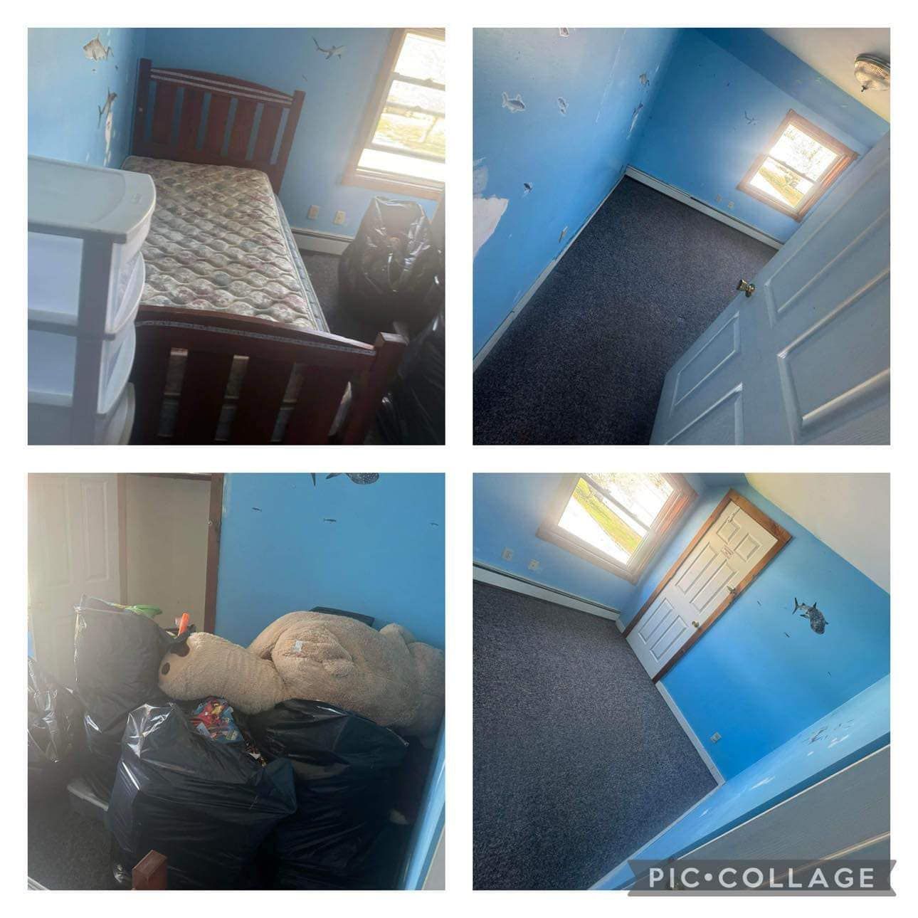 A collage of four pictures of a bedroom with blue walls
