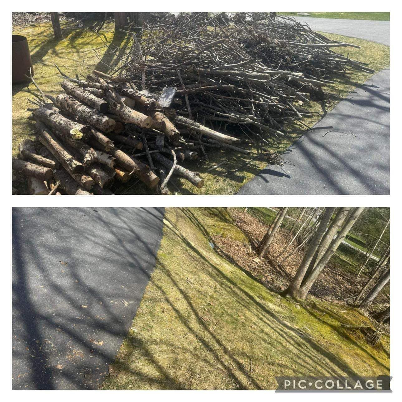 A pile of logs is sitting on the side of a road.