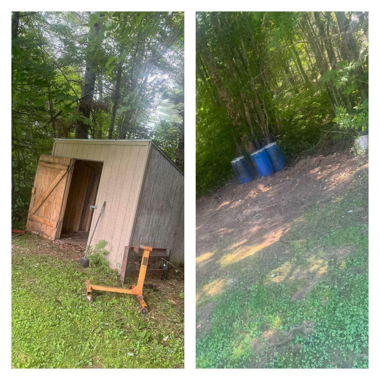 A shed is sitting in the middle of a lush green forest.
