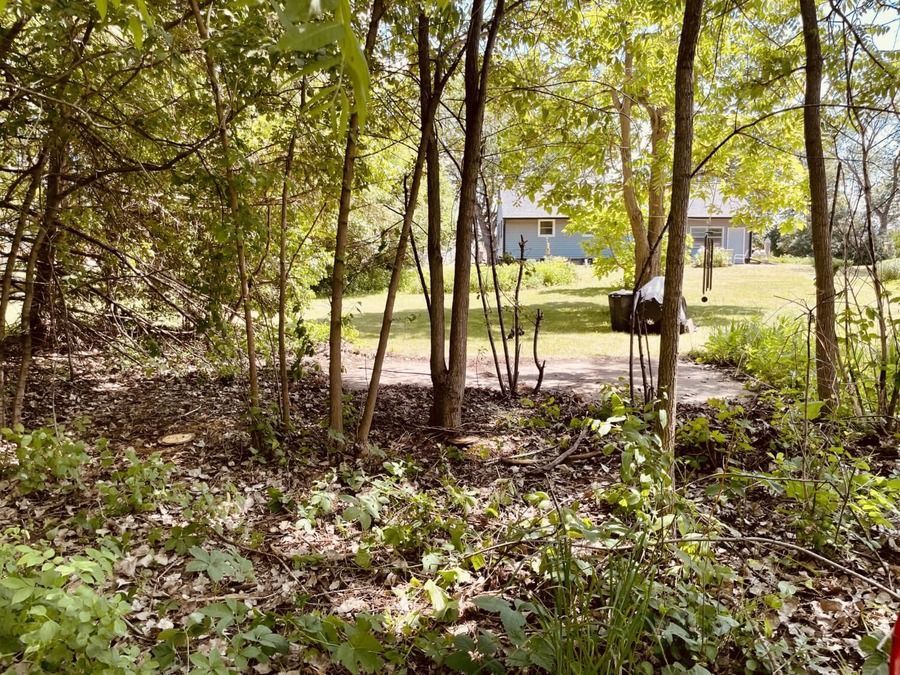 forest lake after - KNS Junk Removal