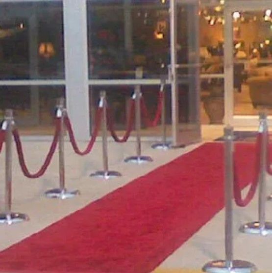 A red carpet is lined up with rope barriers in front of a glass door.