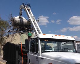 cleaning up branches and debris with crane