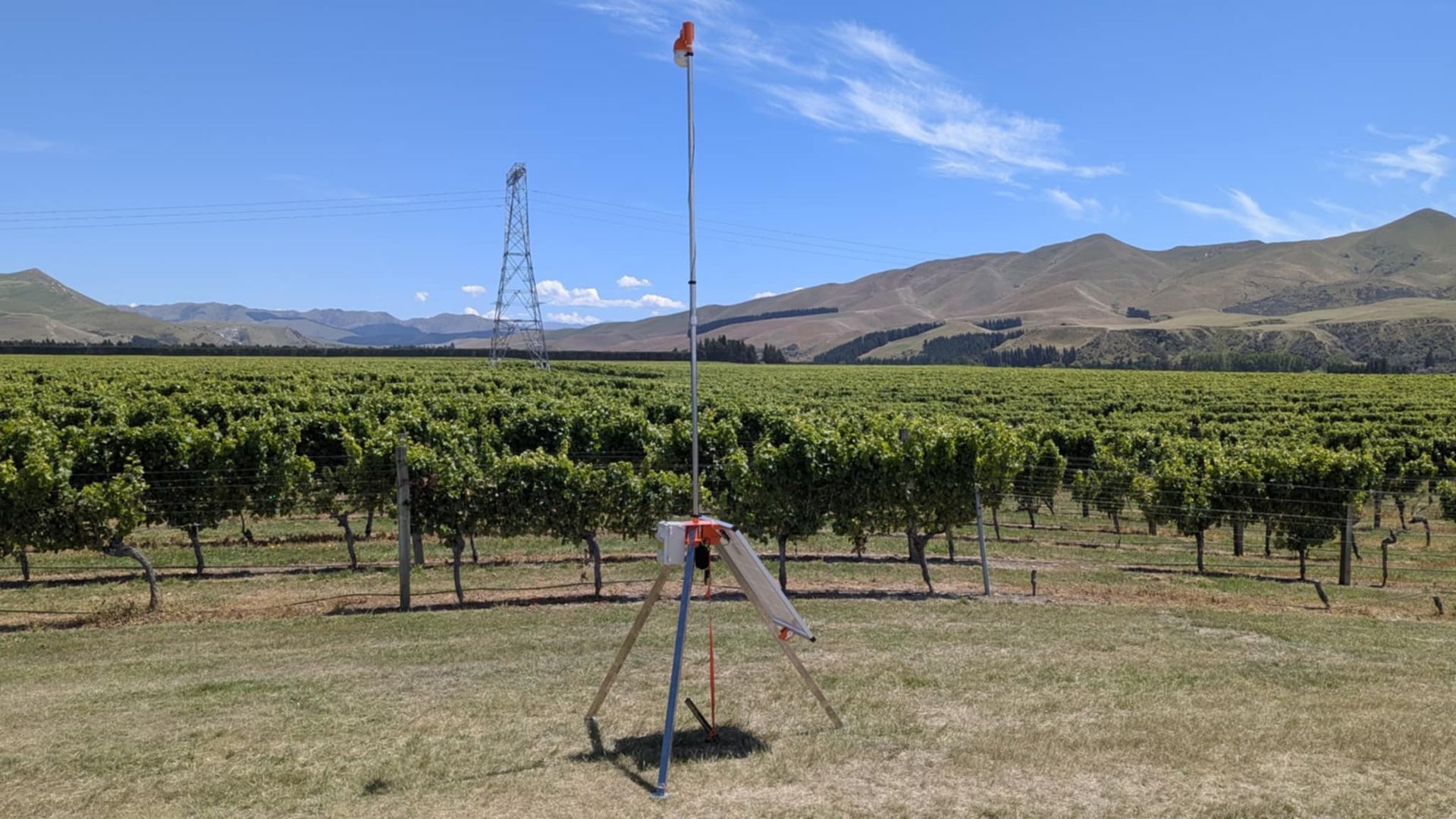 rent bird control, buy bird deterrents NZ, seasonal bird control, laser bird deterrents for hire, co