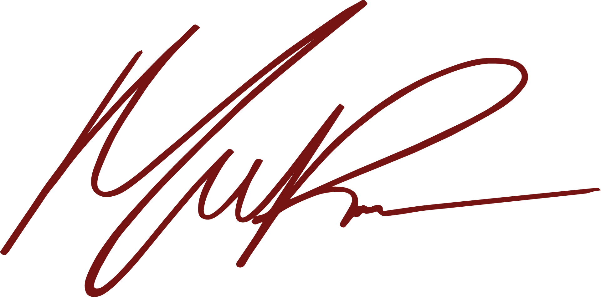 A close up of a person 's signature on a white background.