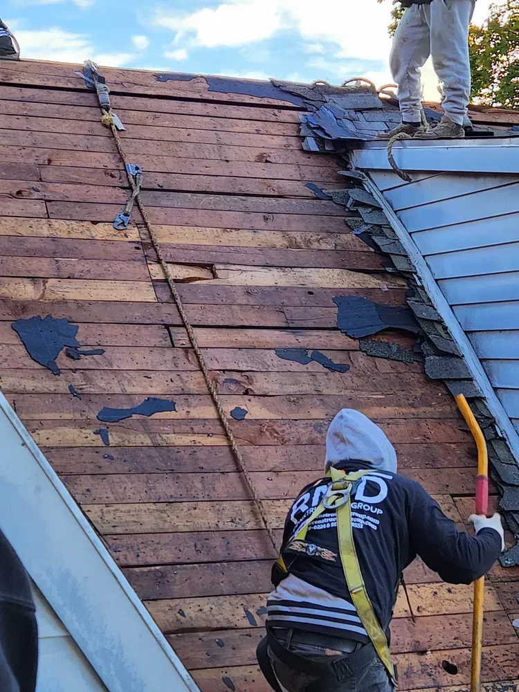 Construction workers on a roof, removing old shingles. Safety harness and a safety rope visible. Overcast sky.