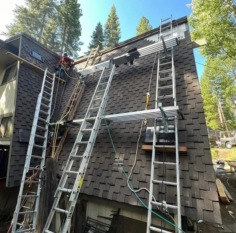 Workers on a roof with ladders and scaffolding; brown shingles, blue sky, trees in the background.