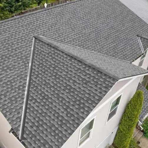 Overhead view of a house with a gray shingle roof, windows, and a green shrub.