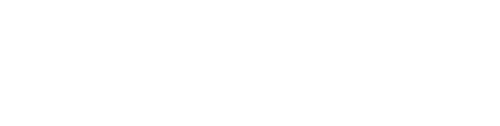 Flat Shuttle Logo