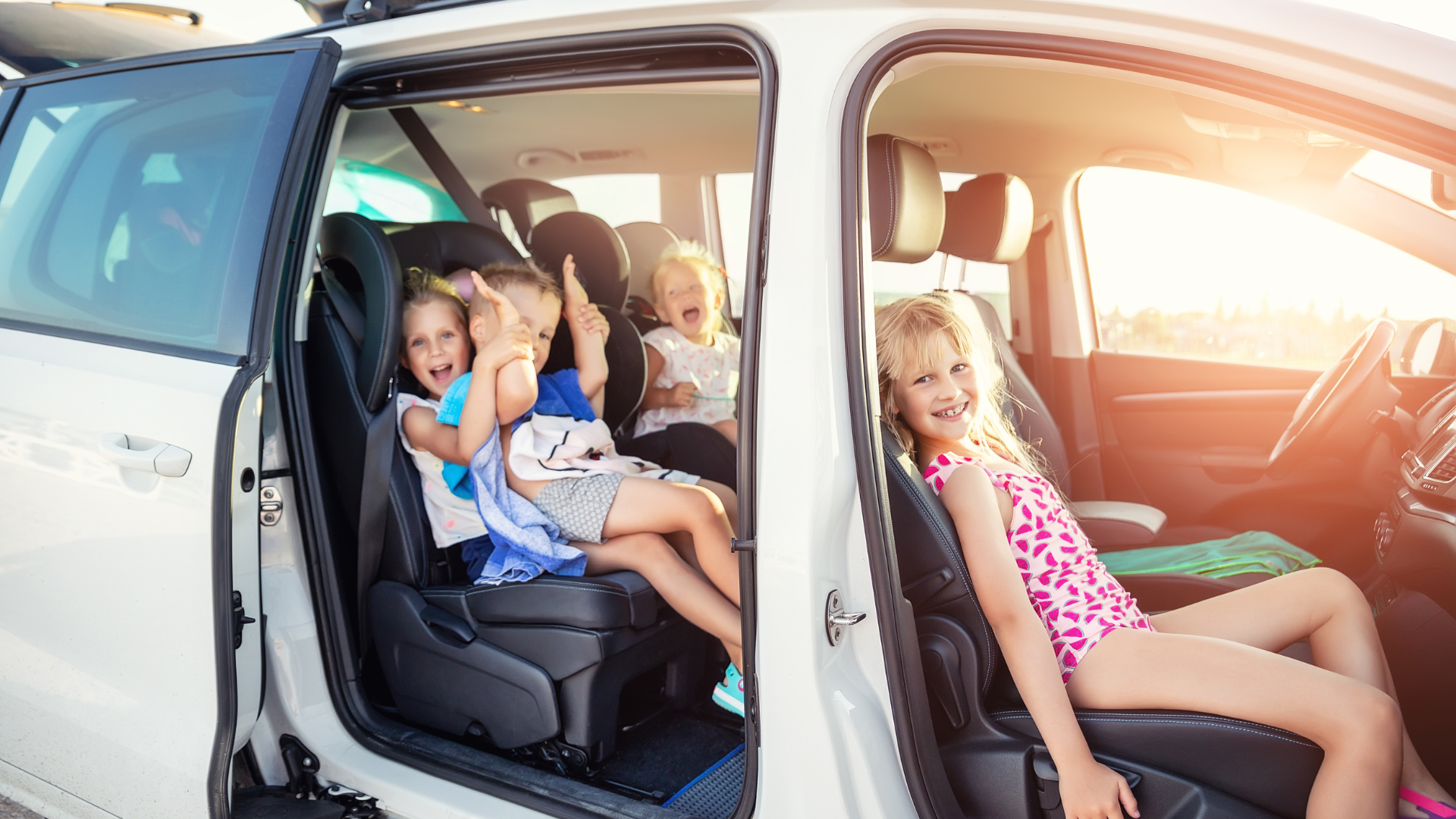 A close up of a palm tree leaf that looks like a fan