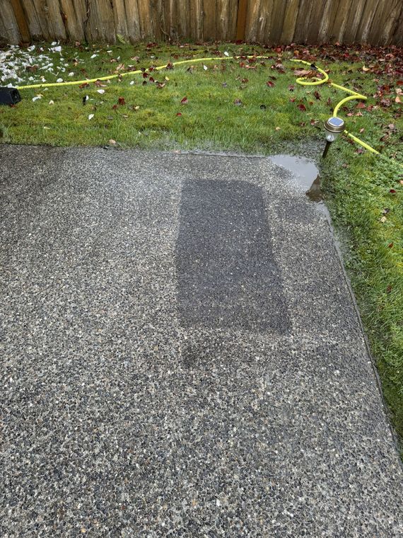 Wet, speckled concrete patio with a dark, rectangular stain, adjacent to a green lawn and wooden fence.
