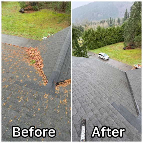 Roof cleaning comparison: before and after shots. Left shows debris, right shows clean roof with forest view.