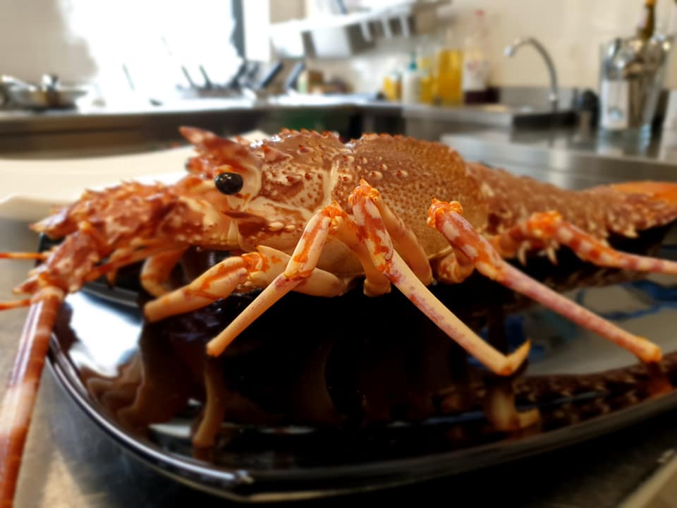 crostaceo