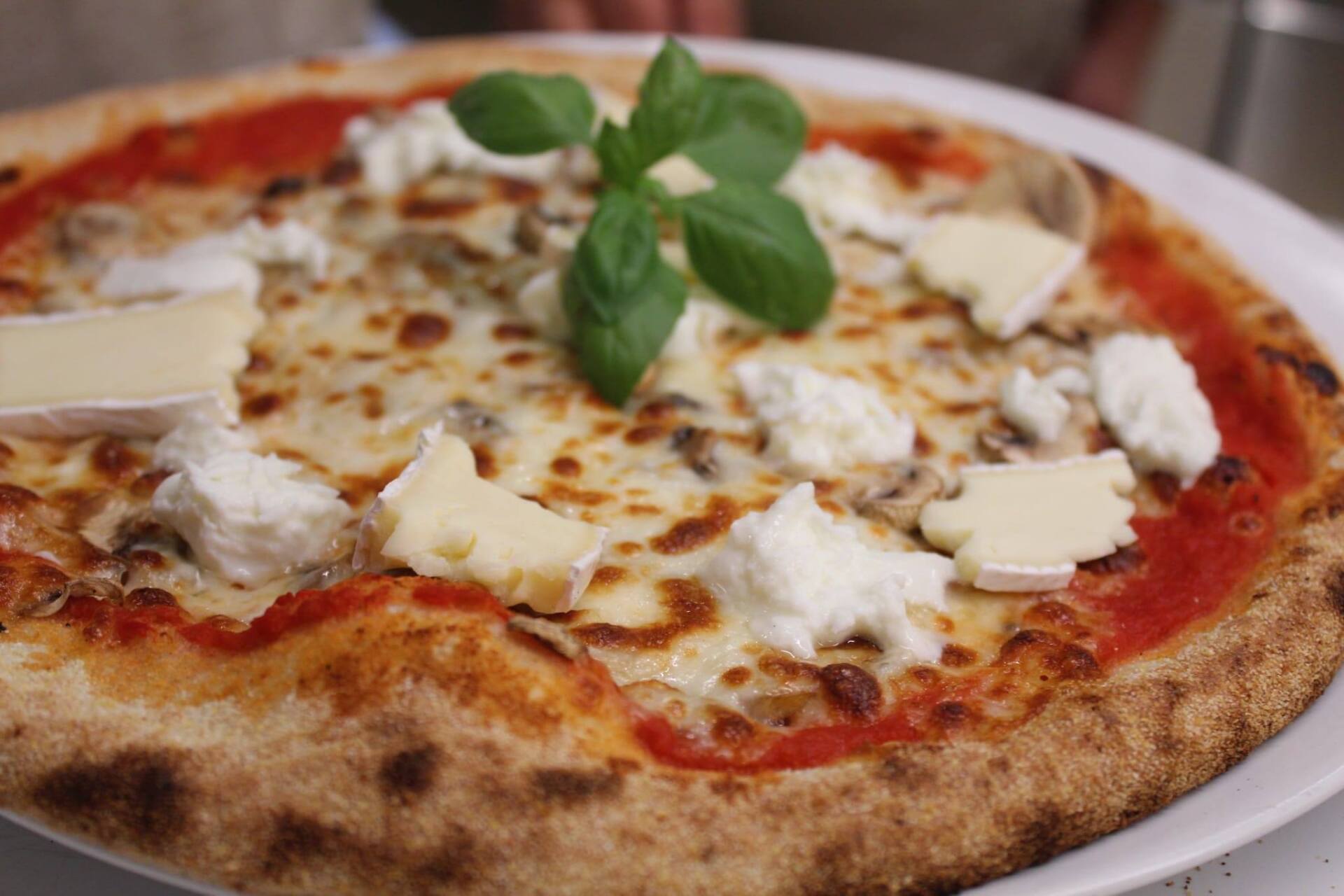 pizza con formaggi freschi e basilico