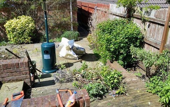 lawn before maintenance