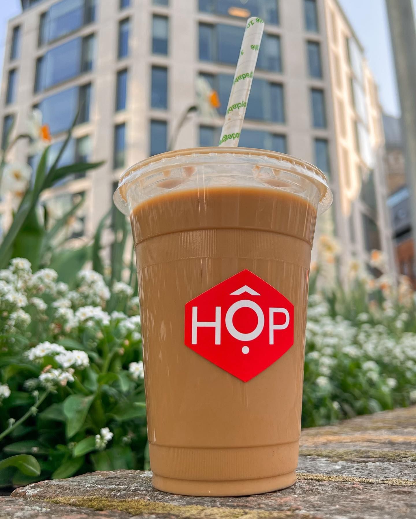 Best Vietnamese iced coffee in London from HOP Vietnamese, served in a takeaway cup.