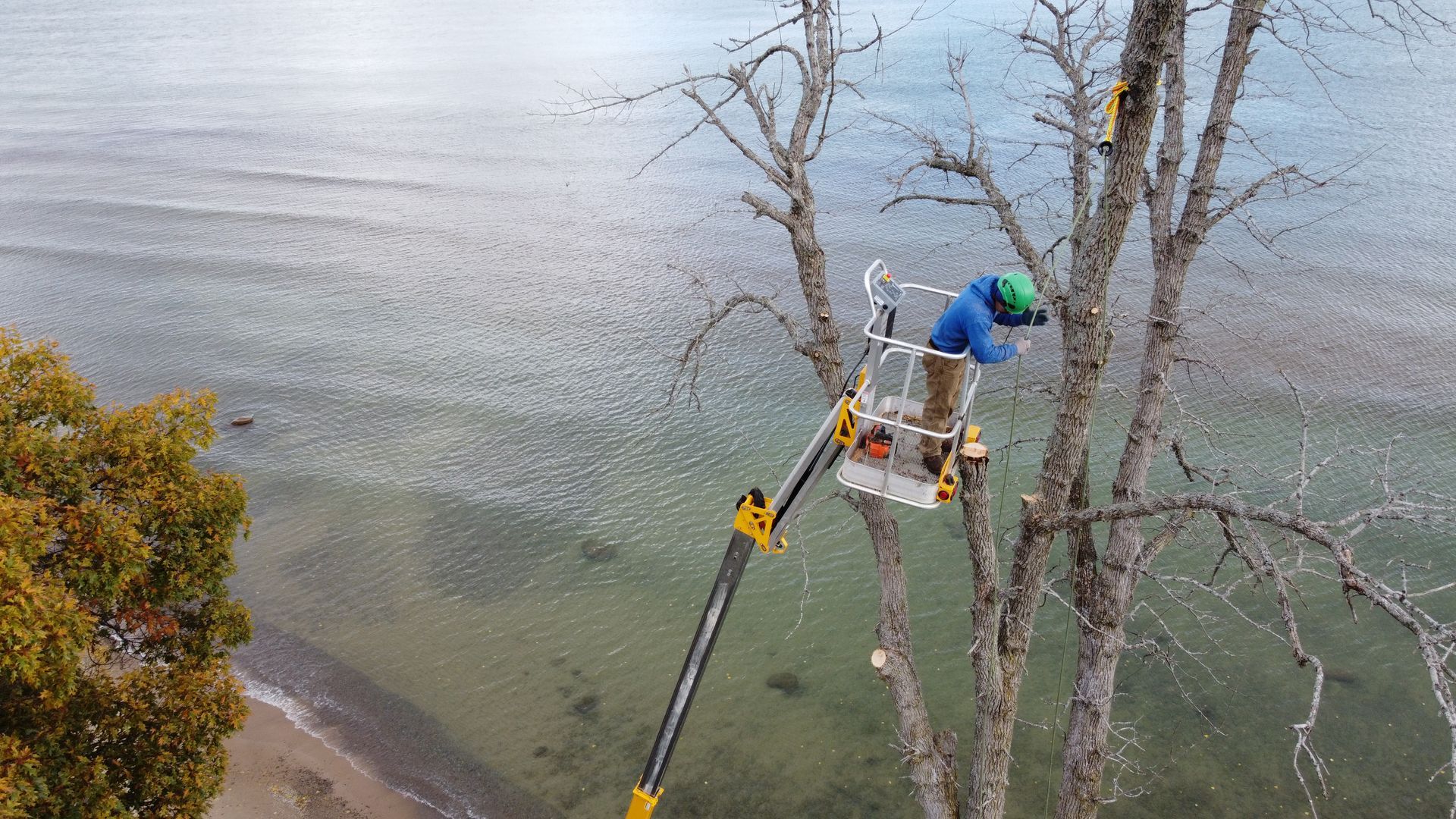 A lush green field with a house in the background