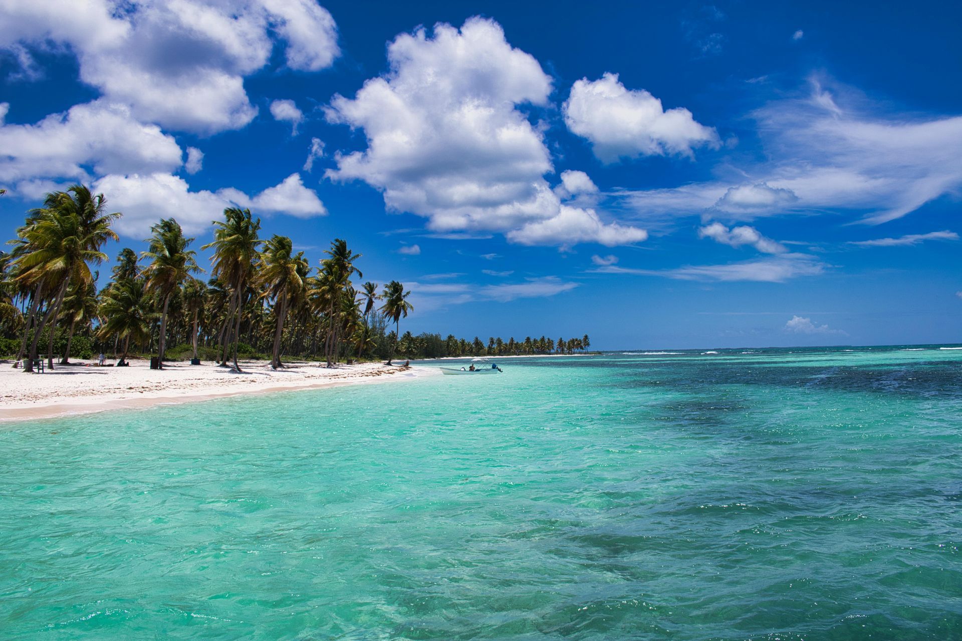 Turquoise water meets white sand beach under a blue sky with puffy white clouds, palm trees lining the shore.