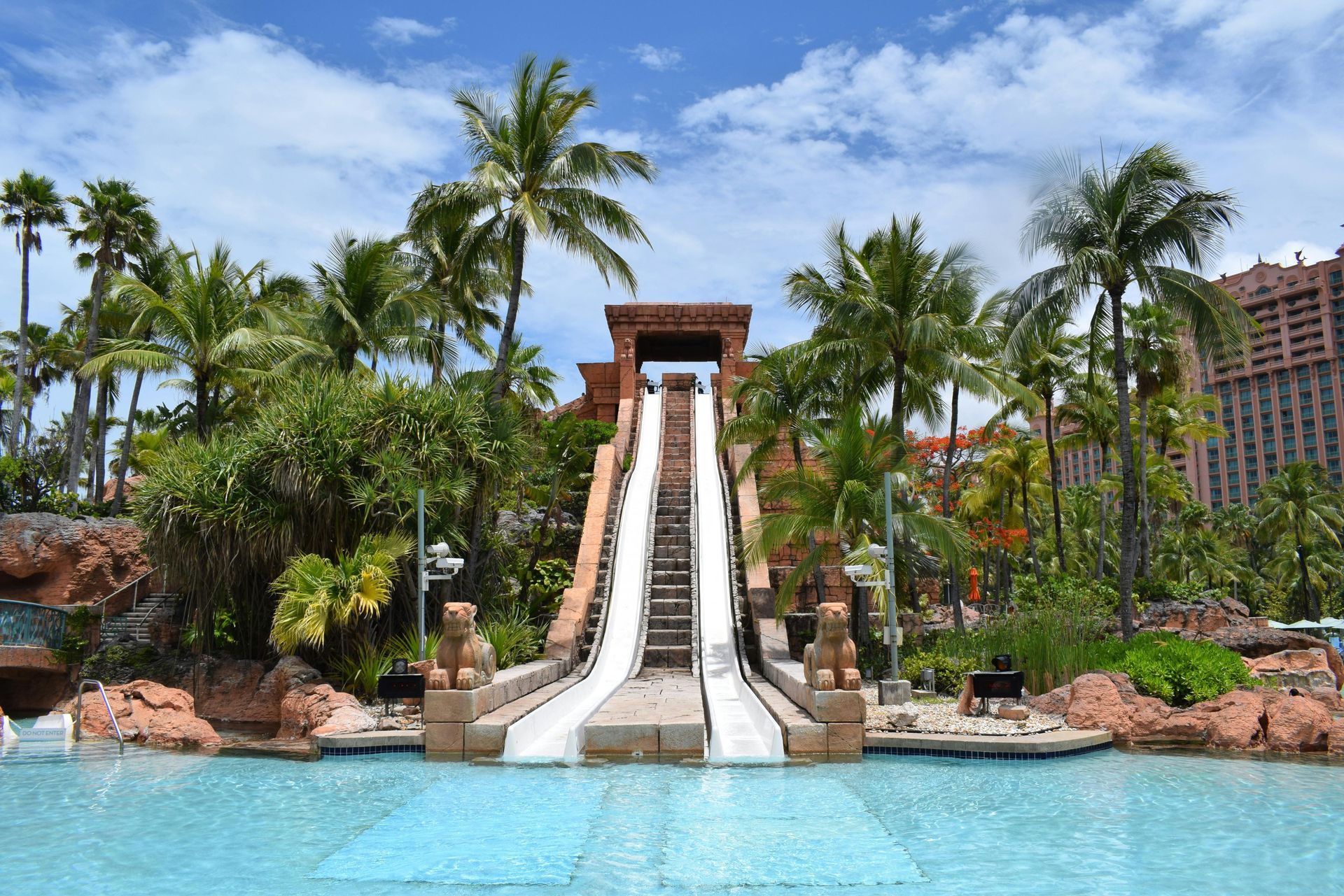 Water slide at a resort with a blue pool, palm trees, and clear sky.