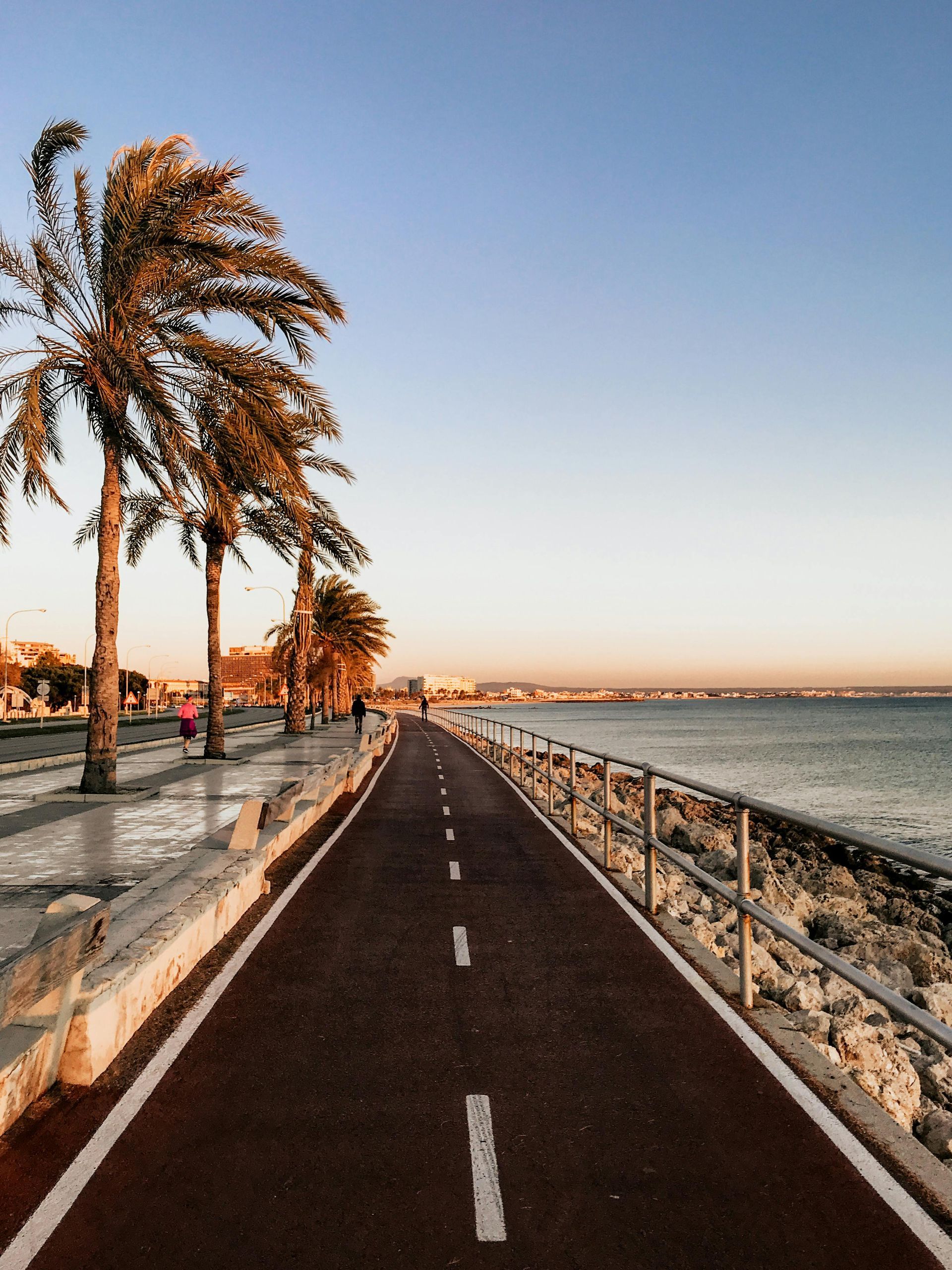 A waterside path with palm trees, the ocean, and a blue sky at sunset.