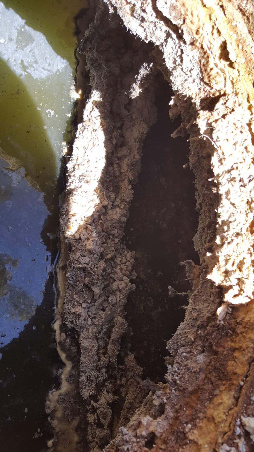 A close up of a hole in a rock next to a body of water