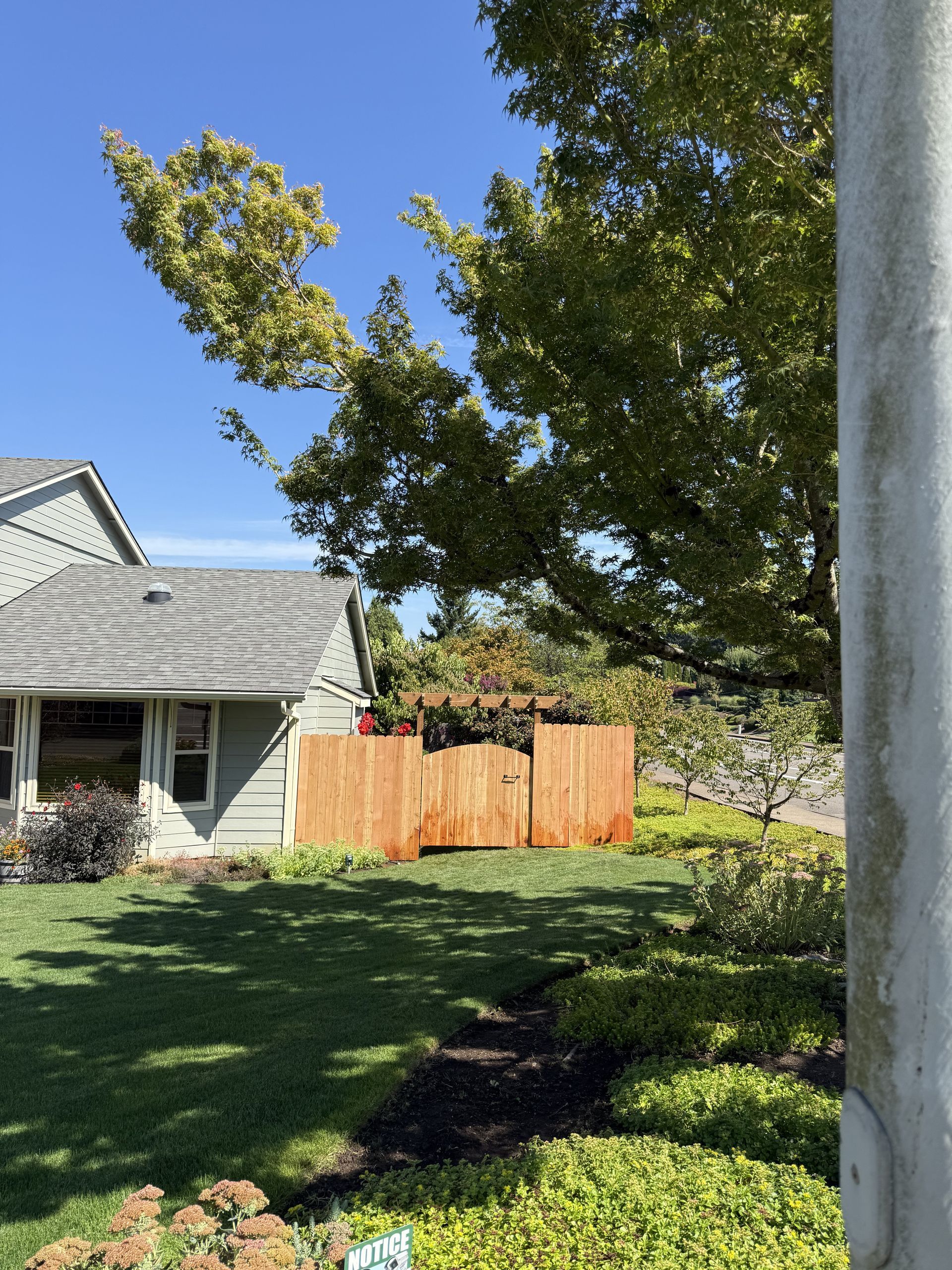 House with gray roof, wooden fence, green lawn, and large tree under a blue sky.