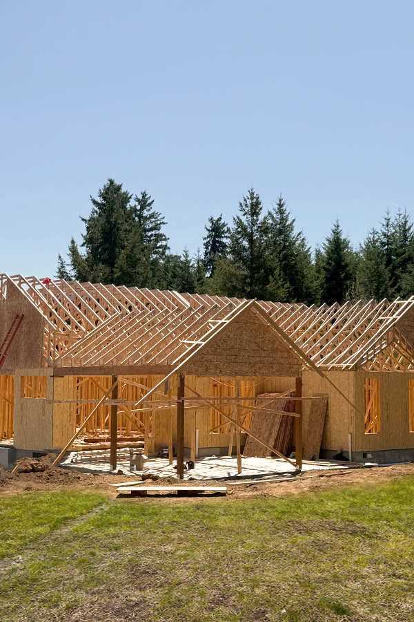 Side view of a light green house with a concrete walkway next to a small garden bed and grass.