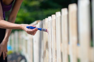 Homeowner applying varnish on residential timber fence installed in their property in Wollongong NSW.