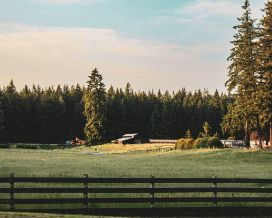 A farm with newly installed timber fencing in Wollongong NSW for aesthetic and security purposes.