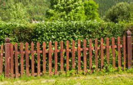Typical wood fencing with varnished to add beauty and contrast to the green mini garden in Wollongong NSW.