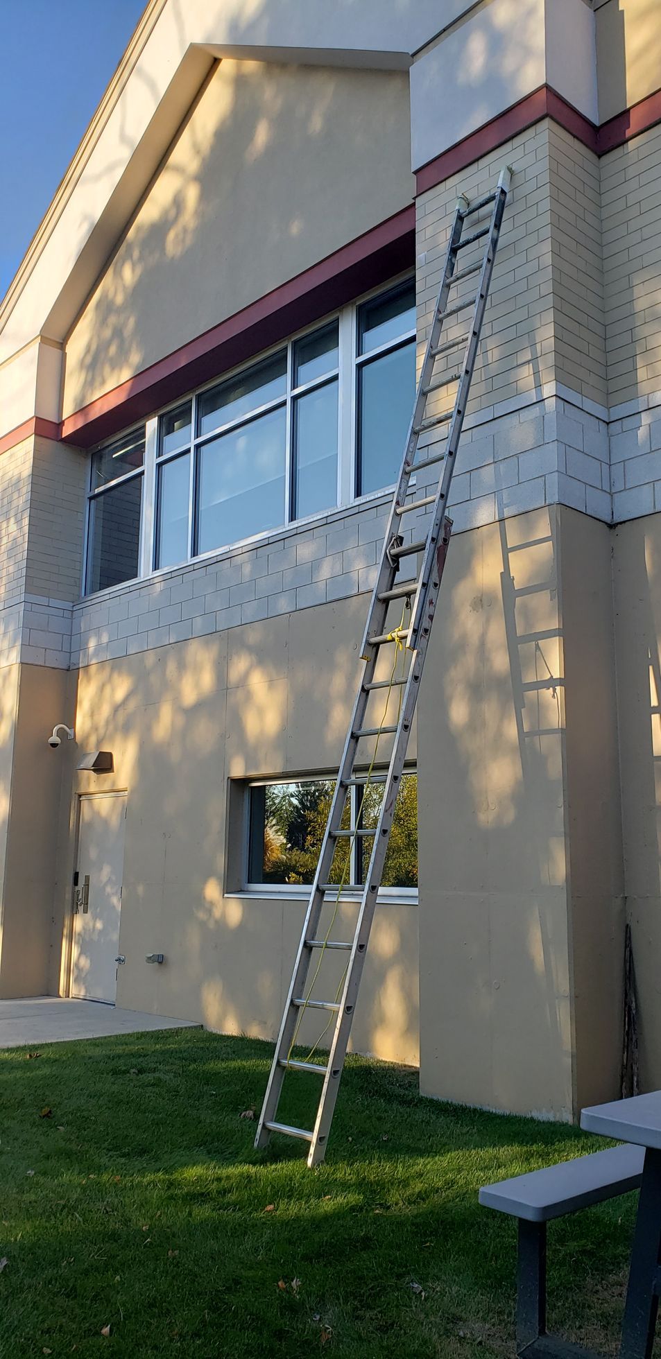 A tall ladder leans against a light-colored building with large windows. Green grass and a bench are in the foreground.