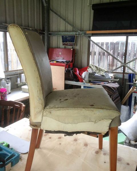 Dining Chair 3 (Before) — Before and After Project in Gordonvale, QLD