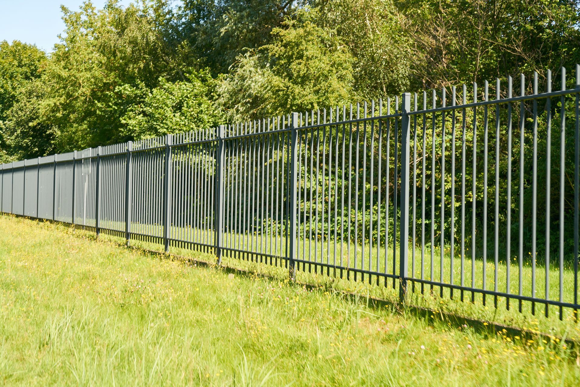 A metal fence surrounds a grassy field with trees in the background.
