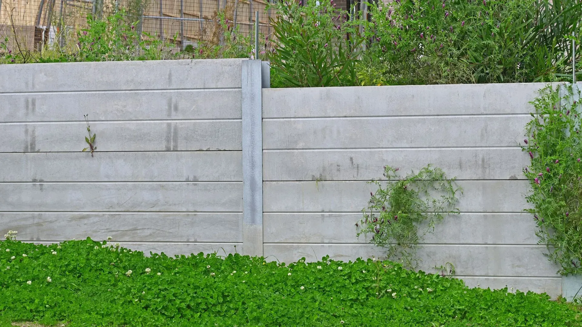 Gray concrete wall with horizontal grooves, vegetation growing around it.