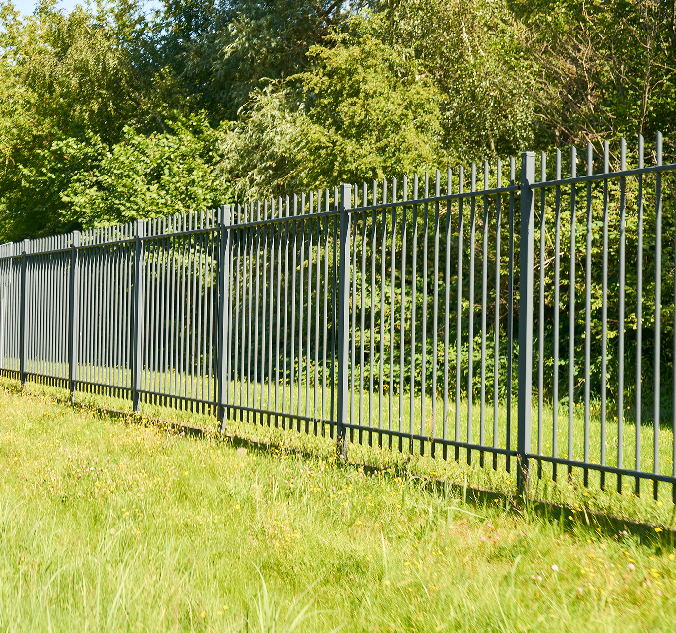 A metal fence surrounds a grassy field with trees in the background.