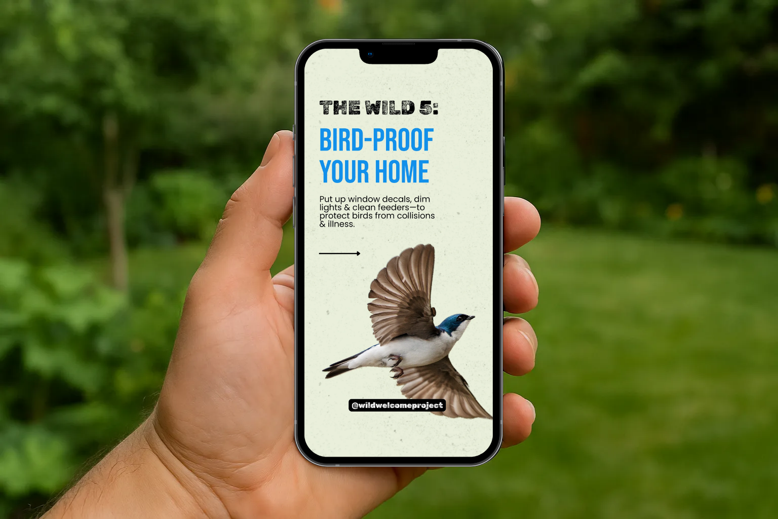 A person is holding a cell phone with a lizard on the screen.