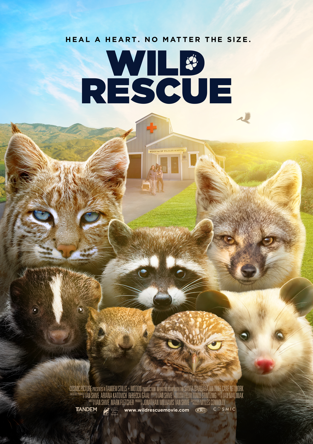 Wild Rescue Movie Poster