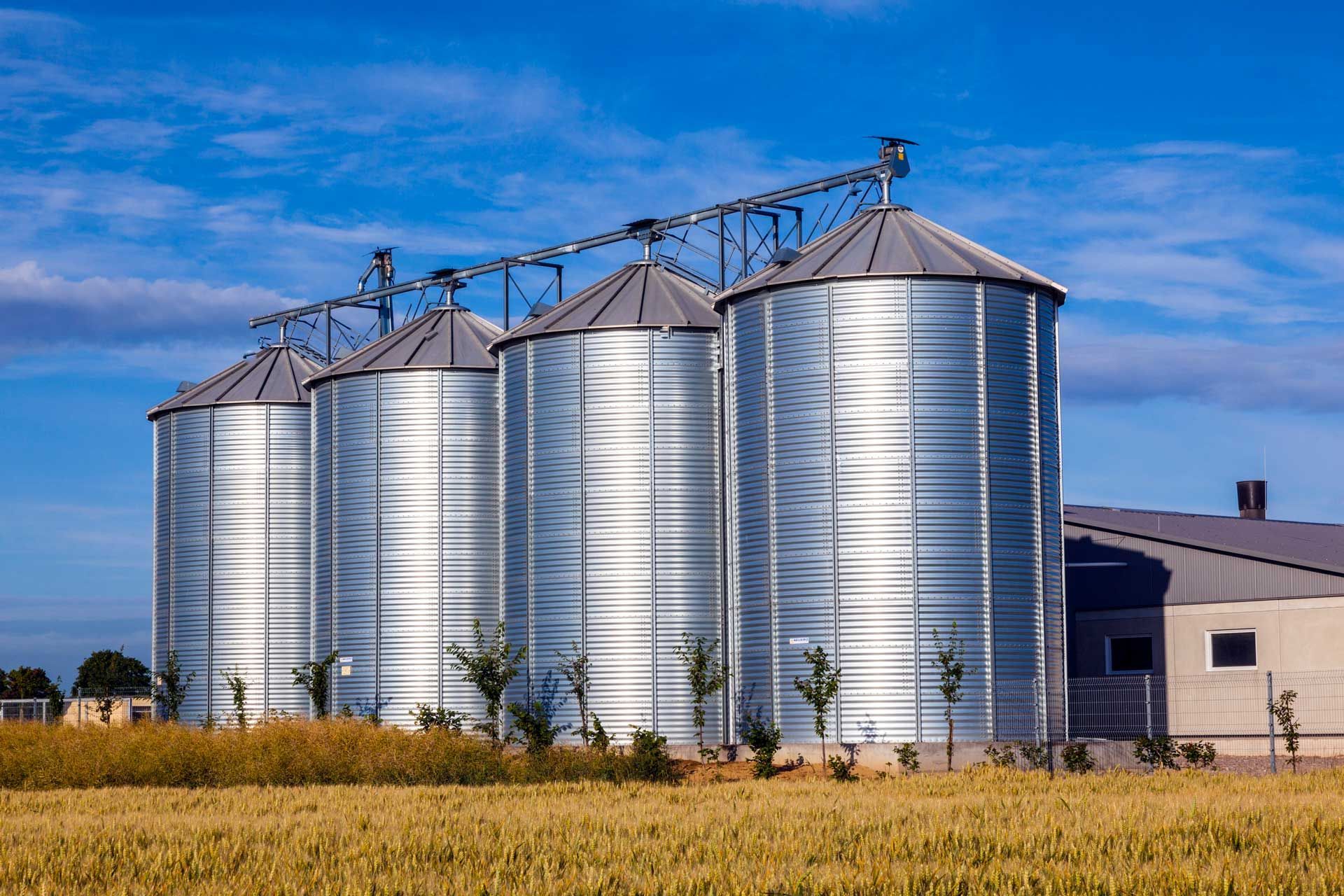 A row of silos in a field with a building in the background.