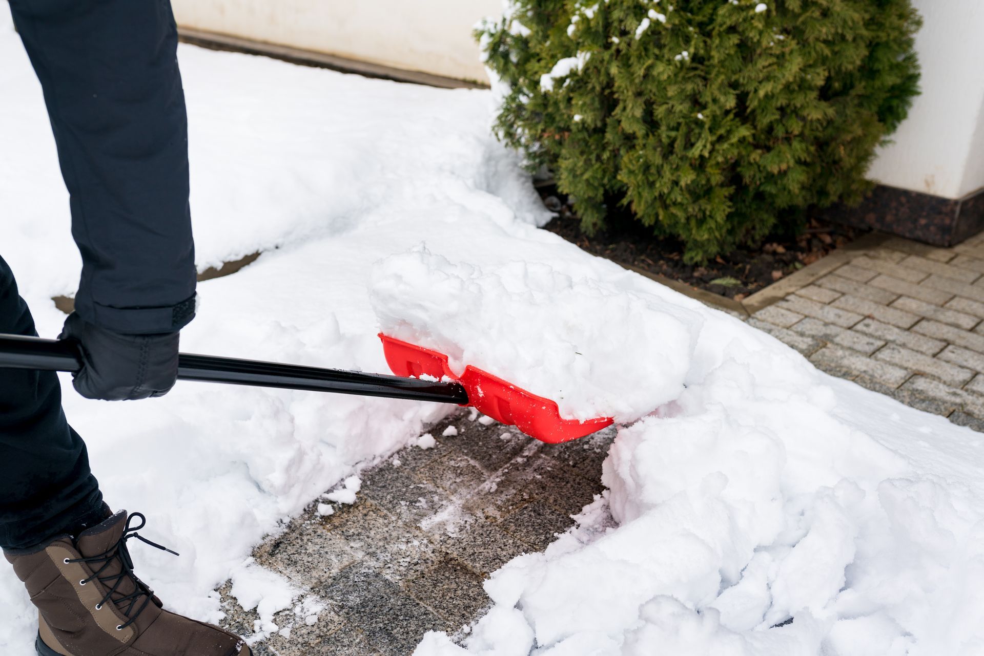 Person shoveling snow from a walkway with a red snow shovel near a house and bush