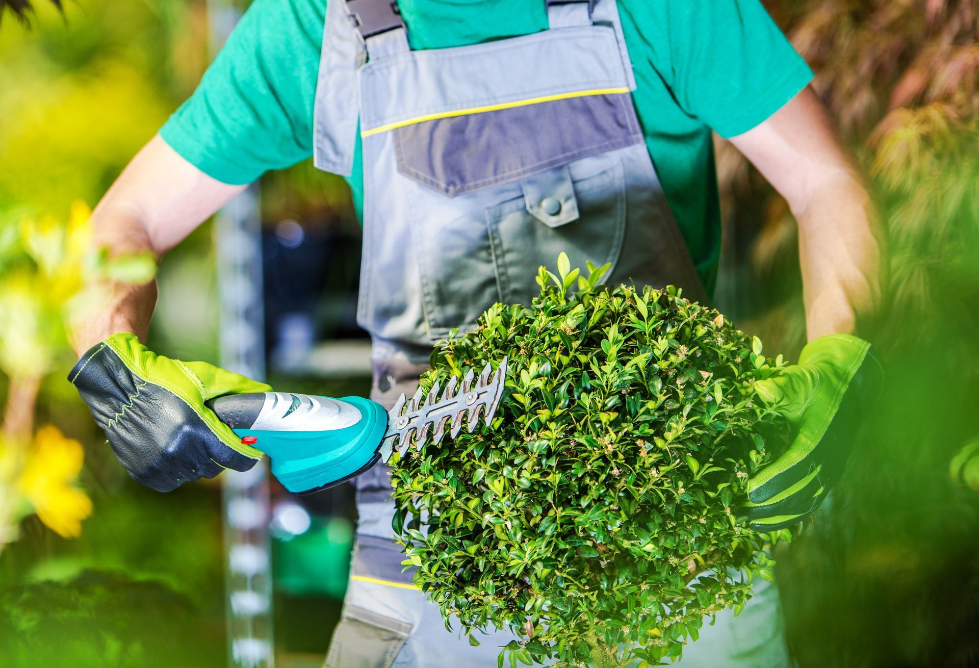 Gardener kneeling to trim flowers in a landscaped garden with stone steps