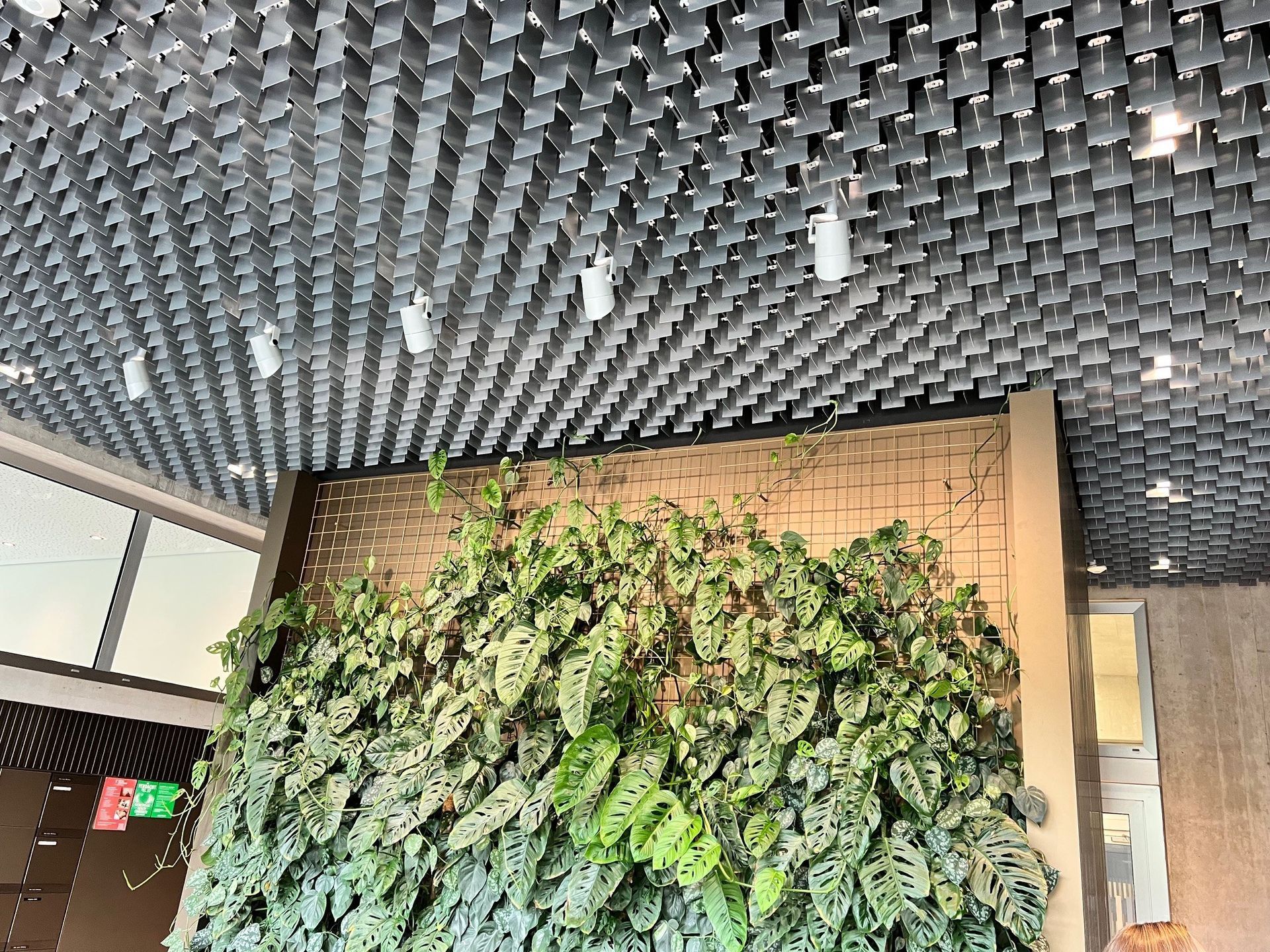 Green wall of plants beneath a textured, geometric ceiling. White spotlights are mounted overhead.